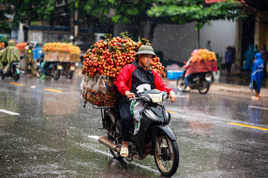 Rainy season scooter riding techniques Phuket hills and curves 1 Vibrant scene of a motorcycle transporting lychees through rainy Bac Giang streets.