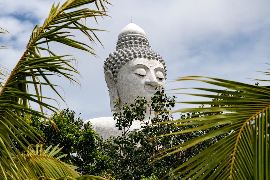 From Chalong to Big Buddha & Phuket’s BestKept Secret Viewpoint: The Local’s Complete Guide 4 ct 1780887440170