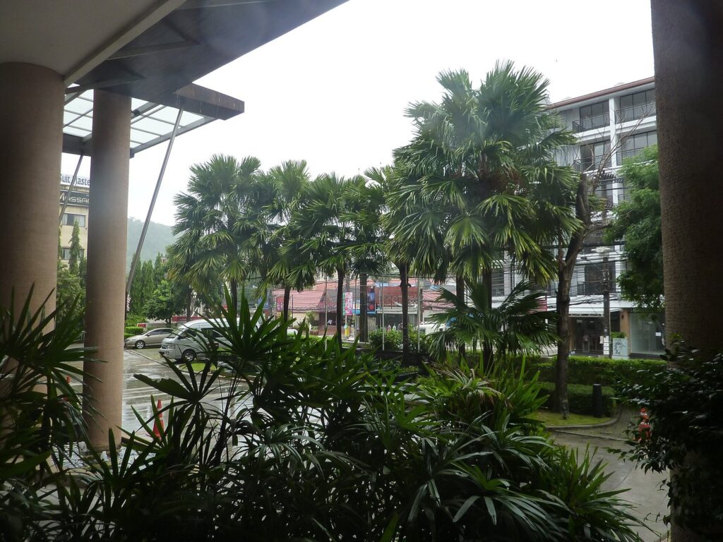 Free Motorbike Delivery to Villas in Phuket: What Actually Works (2026 Guide) 3 Palm trees and garden outside a hotel in Phuket