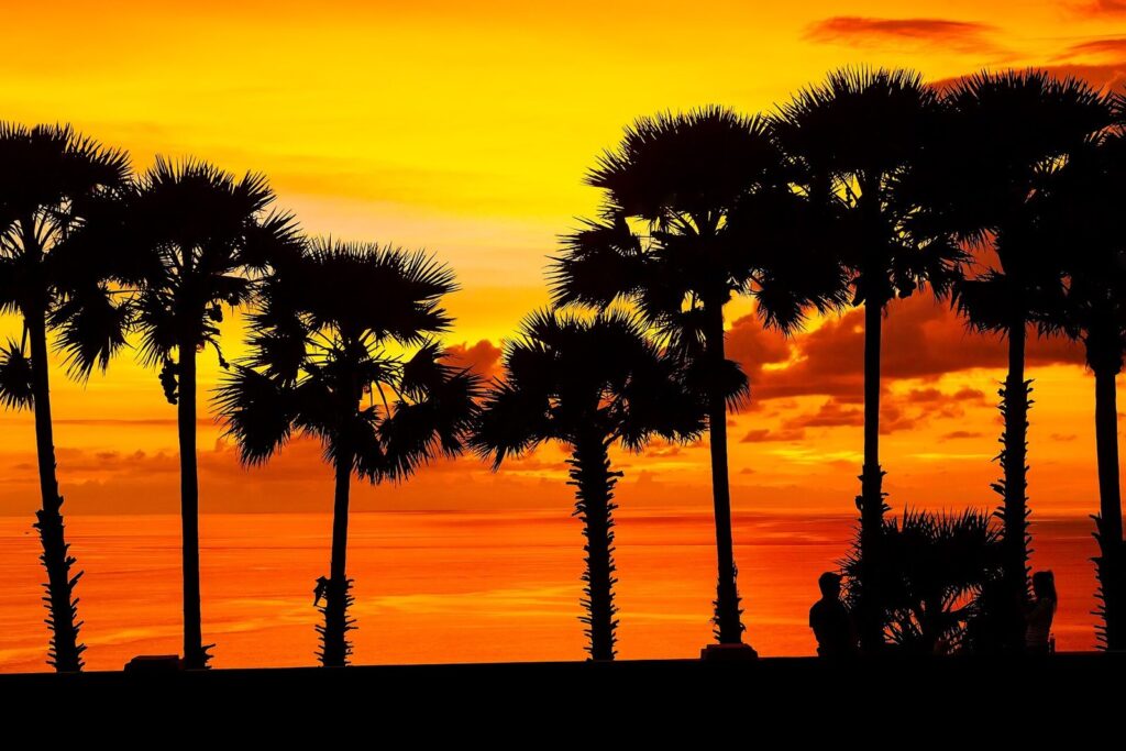 Phuket Scooter Route: Big Buddha, Promthep Cape & Rawai — Half-Day Guide 2026 3 Sunset over Promthep Cape in Phuket with palm trees in silhouette against an orange sky